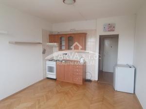 Pronájem bytu 1+kk, Plzeň - Lobzy, Těšínská, 21 m2