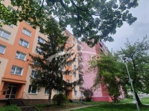 Pronájem bytu 1+kk, Plzeň - Lobzy, Těšínská, 21 m2