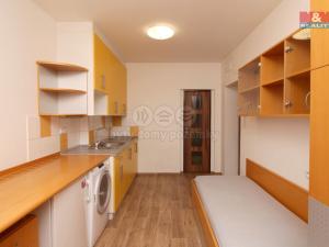 Pronájem bytu 1+kk, Hradec Králové, Tylovo nábřeží, 27 m2