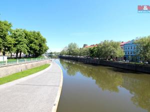 Pronájem bytu 1+kk, Hradec Králové, Tylovo nábřeží, 27 m2