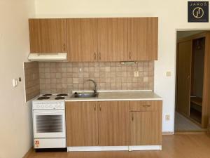 Pronájem bytu 1+kk, Olomouc, Rumunská, 37 m2