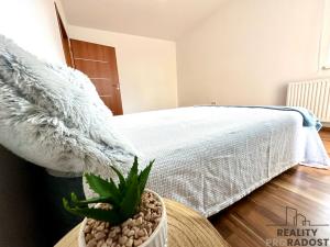 Pronájem bytu 2+kk, Přerov, Slaměníkova, 57 m2