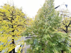Pronájem bytu 2+kk, Praha - Holešovice, Na Maninách, 54 m2