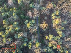 Prodej rodinného domu, Sezemice - Počaply, 90 m2