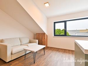 Pronájem bytu 1+kk, Brno - Židenice, Škrochova, 33 m2
