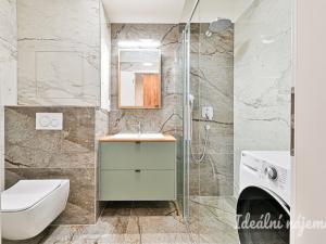 Pronájem bytu 1+kk, Brno - Židenice, Škrochova, 33 m2