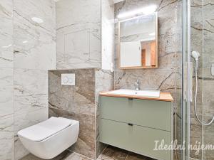 Pronájem bytu 1+kk, Brno - Židenice, Škrochova, 33 m2