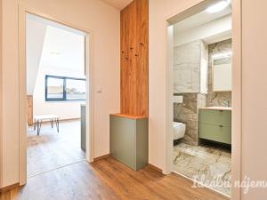 Pronájem bytu 1+kk, Brno - Židenice, Škrochova, 33 m2