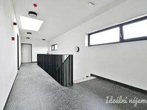 Pronájem bytu 1+kk, Brno - Židenice, Škrochova, 33 m2
