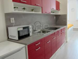 Pronájem bytu 1+kk, Frýdek-Místek - Frýdek, Růžový pahorek, 29 m2