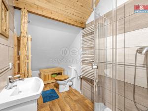 Prodej chalupy, Orlické Záhoří, 250 m2