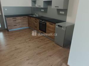 Pronájem bytu 2+kk, Ústí nad Labem - Ústí nad Labem-centrum, Elišky Krásnohorské, 65 m2
