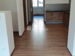 Pronájem bytu 2+kk, Ústí nad Labem - Ústí nad Labem-centrum, Elišky Krásnohorské, 65 m2