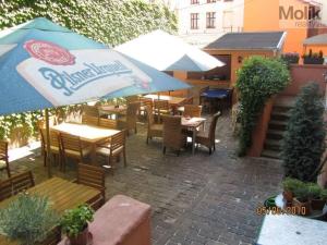 Pronájem restaurace, Ústí nad Labem - Ústí nad Labem-centrum, Horova, 360 m2