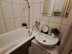 Pronájem bytu 2+1, Olomouc - Nová Ulice, V hlinkách, 54 m2