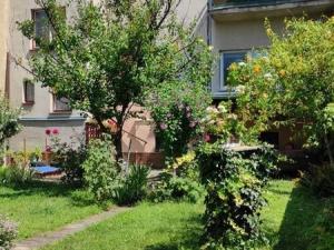 Pronájem rodinného domu, Hodonín, Muchova, 60 m2