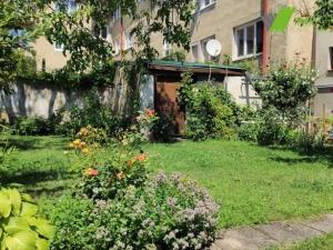 Pronájem rodinného domu, Hodonín, Muchova, 60 m2