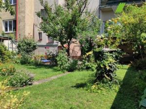 Pronájem rodinného domu, Hodonín, Muchova, 60 m2