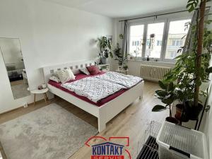 Pronájem bytu 3+1, České Budějovice, J. K. Chmelenského, 86 m2