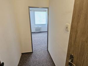 Pronájem bytu 1+kk, Děčín, Saská, 19 m2