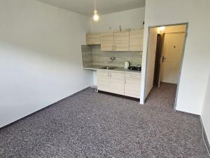 Pronájem bytu 1+kk, Děčín, Saská, 19 m2