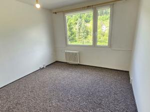 Pronájem bytu 1+kk, Děčín, Saská, 19 m2