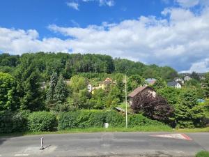 Pronájem bytu 1+kk, Děčín, Saská, 19 m2