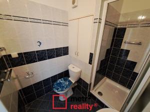 Pronájem bytu 2+1, Olomouc, Na Letné, 44 m2