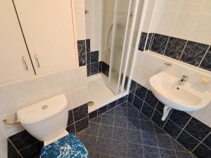 Pronájem bytu 2+1, Olomouc, Na Letné, 44 m2