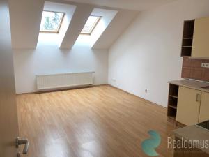Pronájem bytu 2+kk, České Budějovice, Klaricova, 40 m2