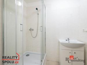 Pronájem bytu 3+kk, Mlékojedy, 66 m2