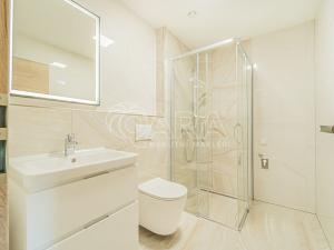 Pronájem bytu 2+kk, Hořovice, U Štěpánků, 51 m2