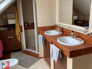 Pronájem rodinného domu, Nelahozeves, Zagarolská, 300 m2