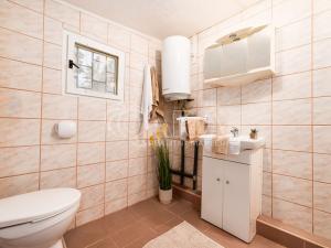 Prodej chaty, Boršov nad Vltavou - Jamné, 40 m2