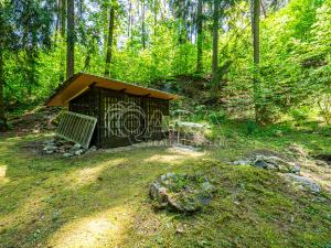 Prodej chaty, Boršov nad Vltavou - Jamné, 40 m2
