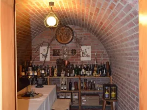 Pronájem bytu 2+kk, Židlochovice, Tyršova, 48 m2