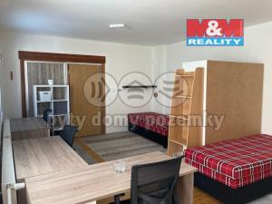 Pronájem bytu 1+kk, Olomouc - Neředín, Járy da Cimrmana, 250 m2