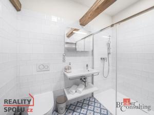 Prodej rodinného domu, Zádub-Závišín - Zádub, 297 m2