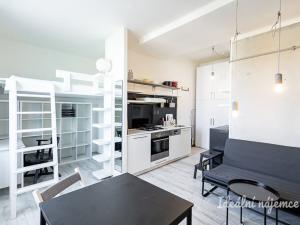 Pronájem bytu 1+kk, Praha - Žižkov, Biskupcova, 22 m2