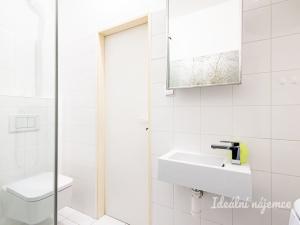 Pronájem bytu 1+kk, Praha - Žižkov, Biskupcova, 22 m2