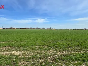 Prodej pozemku pro bydlení, Spálov, 24002 m2