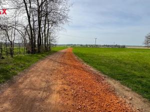 Prodej lesa, Spálov, 25088 m2