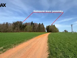 Prodej lesa, Spálov, 25088 m2