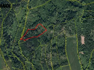 Prodej lesa, Spálov, 25088 m2