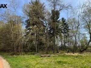 Prodej lesa, Spálov, 25088 m2
