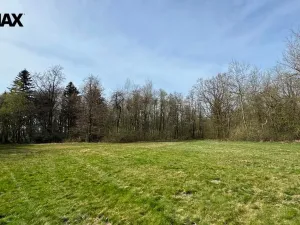 Prodej lesa, Spálov, 25088 m2