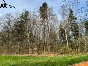 Prodej lesa, Spálov, 25088 m2