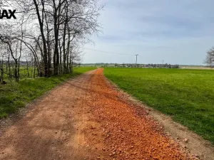 Prodej lesa, Spálov, 25088 m2