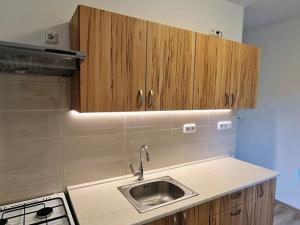 Pronájem bytu 2+1, Prostějov, Šárka, 50 m2