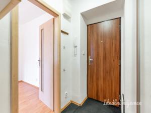 Pronájem bytu 1+kk, Praha - Záběhlice, Svojšovická, 30 m2
